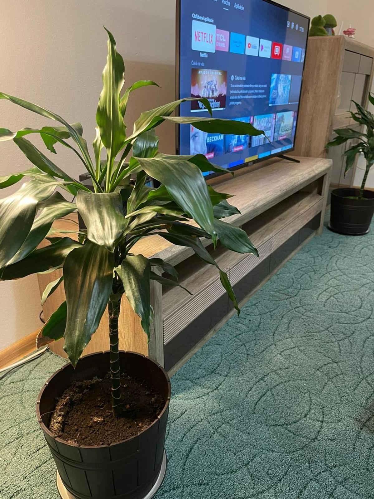 Velky Apartman Братислава Экстерьер фото